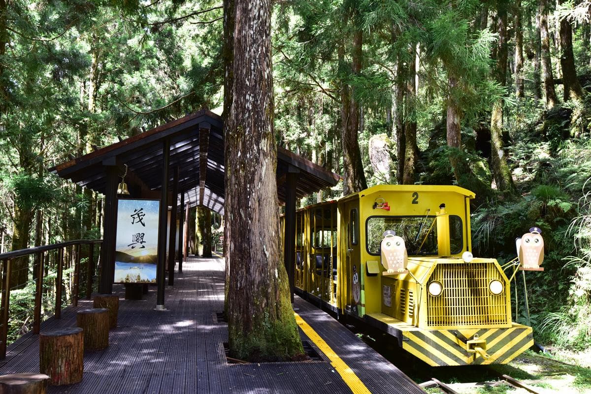 遛小孩不用錢!全台13間「森林遊樂園」連假4天入園免門票 遛小孩不用錢!全台13間「森林遊樂園」連假4天入園免門票