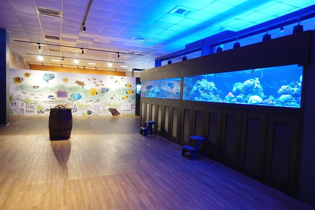 透明觀景台看「鯊魚池」！宜蘭版海生館免門票　還有鯊魚餵食體驗