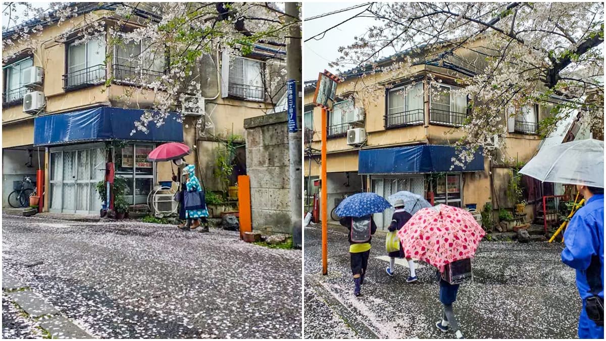 東京最浪漫賞櫻景點！火車伴櫻花海、粉紅獨角獸民宿，每個角落都美拍