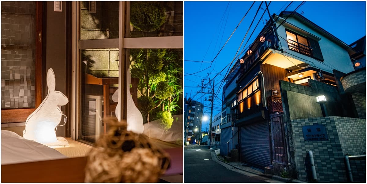 東京最浪漫賞櫻景點！火車伴櫻花海、粉紅獨角獸民宿，每個角落都美拍