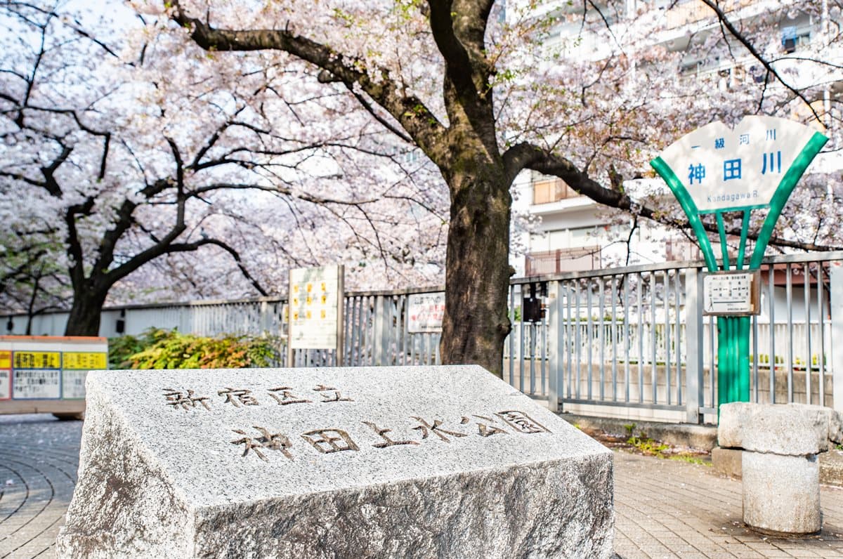 東京最浪漫賞櫻景點！火車伴櫻花海、粉紅獨角獸民宿，每個角落都美拍