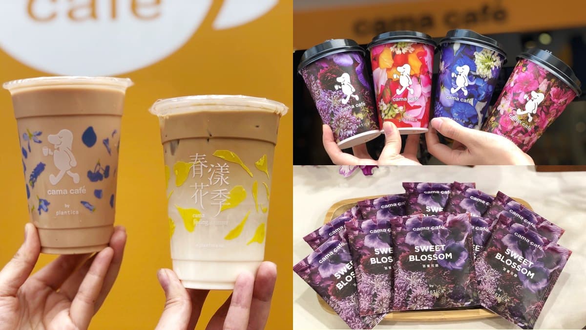 這不是蜷川實花！cama X日本花藝推「聯名花漾杯」，加碼抽「沖繩機票」