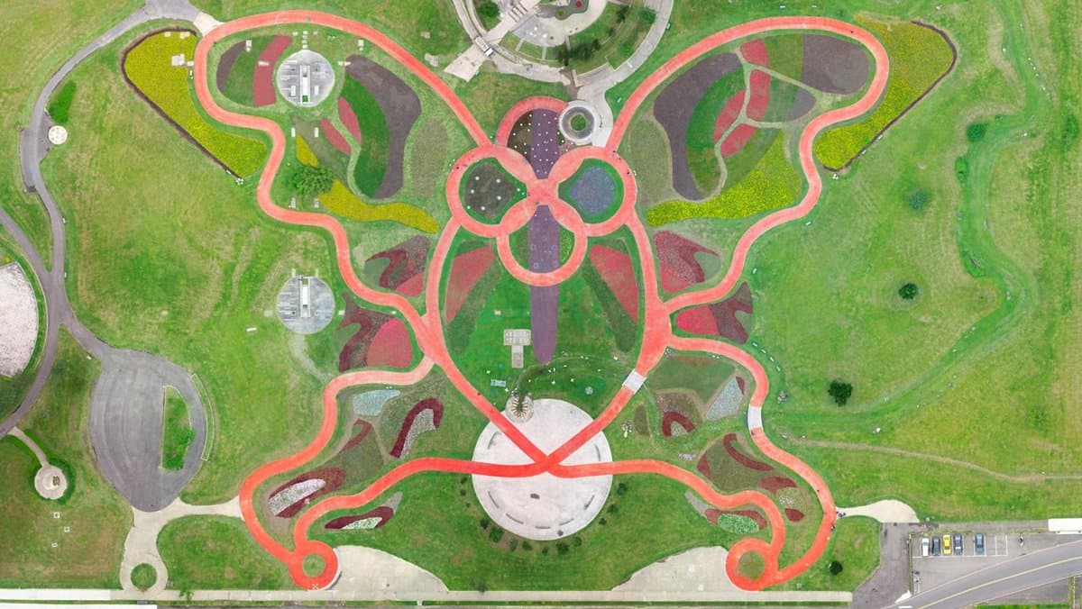 出發了!板橋蝴蝶公園,白天拍「23萬株花海」、夜賞「50萬顆光雕」 出發了!板橋蝴蝶公園,白天拍「23萬株花海」、夜賞「50萬顆光雕」