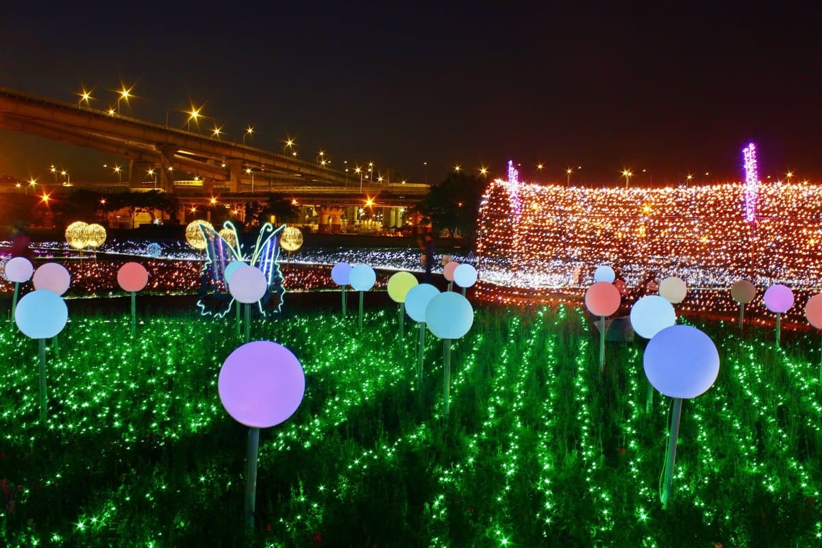 出發了!板橋蝴蝶公園,白天拍「23萬株花海」、夜賞「50萬顆光雕」 出發了!板橋蝴蝶公園,白天拍「23萬株花海」、夜賞「50萬顆光雕」