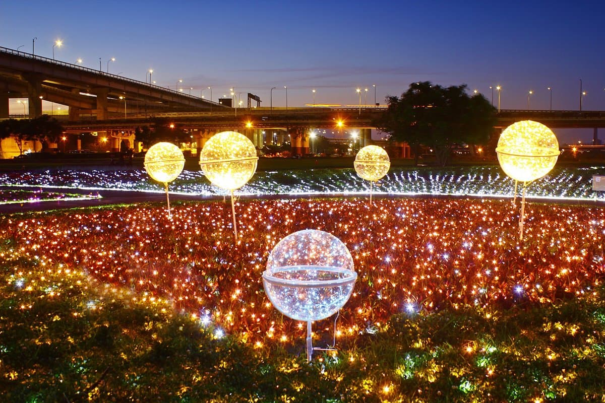 出發了!板橋蝴蝶公園,白天拍「23萬株花海」、夜賞「50萬顆光雕」 出發了!板橋蝴蝶公園,白天拍「23萬株花海」、夜賞「50萬顆光雕」