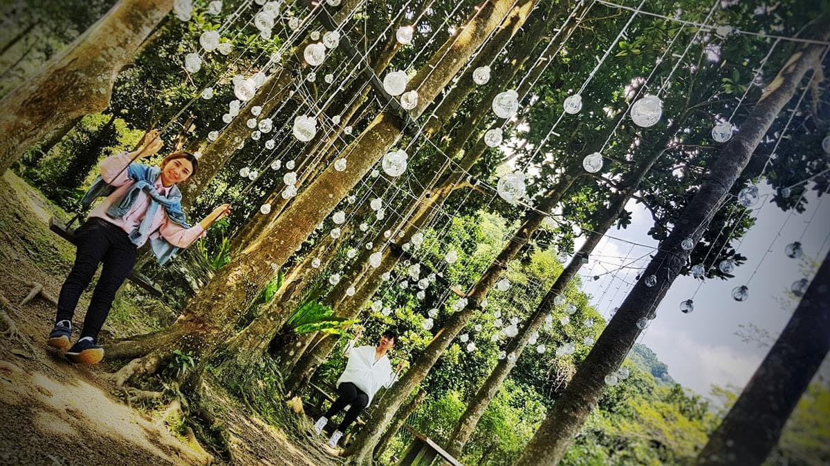 隱藏版夢幻秘境!宜蘭最新「迷藏計畫」滿山螢火蟲、森林拍美照 隱藏版夢幻秘境!宜蘭最新「迷藏計畫」滿山螢火蟲、森林拍美照