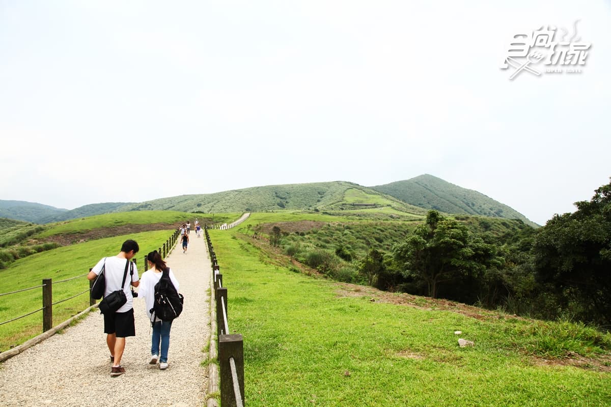 雙北3條美拍步道：黑森林之心、藍鵲、吊橋、夢幻湖+2家祕境餐廳