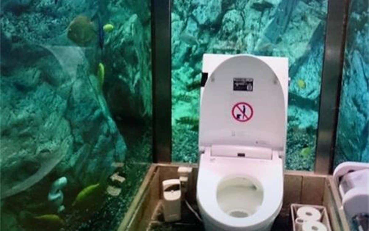 直接看你噓噓！日本打造3000萬「水族館廁所」 網驚呼：好衝擊！