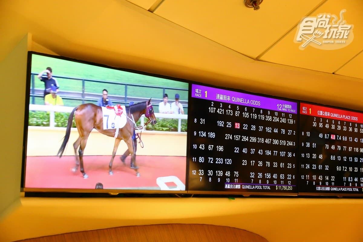 香港賭馬初體驗！港幣10元換一個發財夢，每週三啤酒派對超嗨