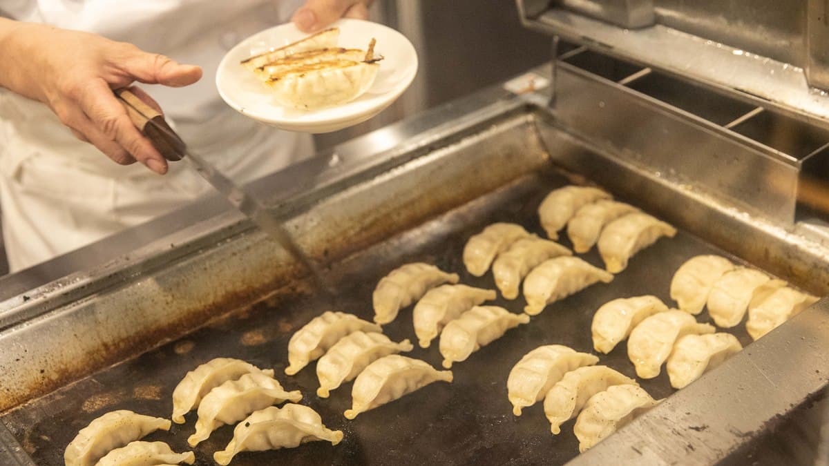 吃煎餃囉！日本名店「餃子の王將」台北首店在這，開幕加碼送煎餃