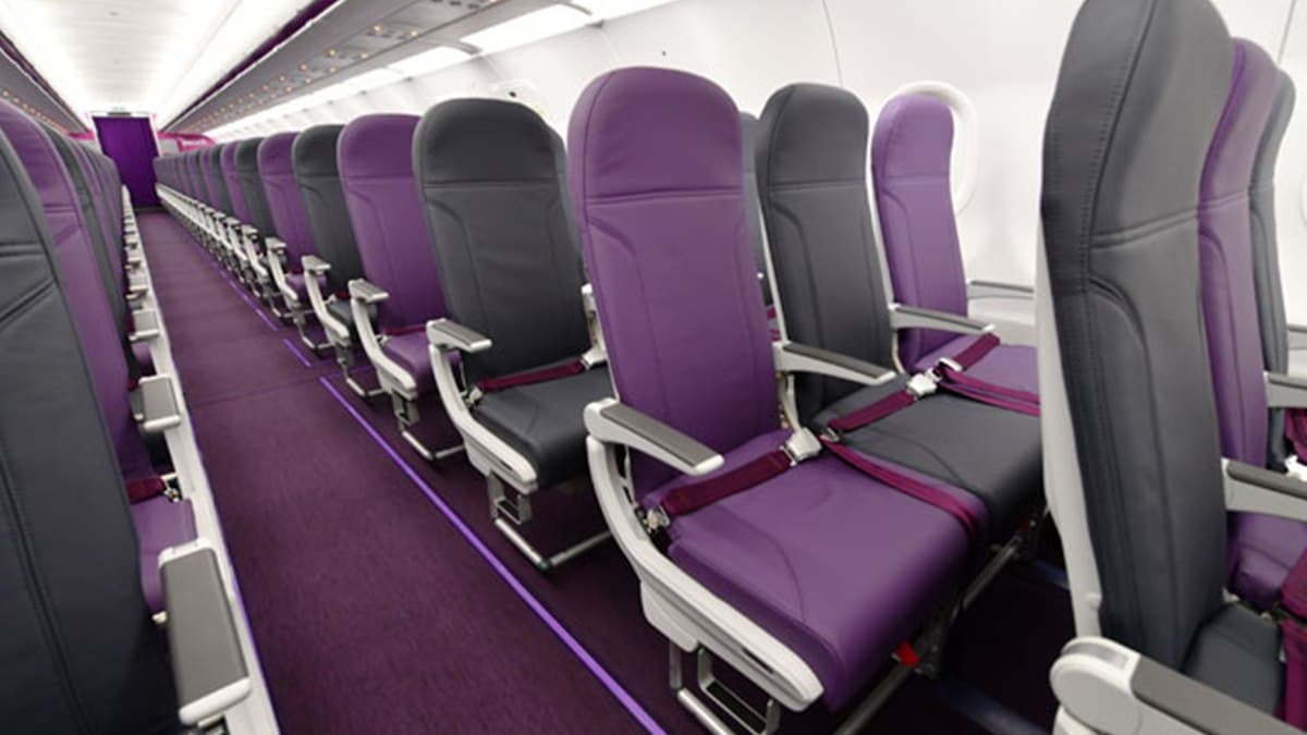 「樂桃航空」新客機曝光！網驚呼：椅背傾斜15度不能調！