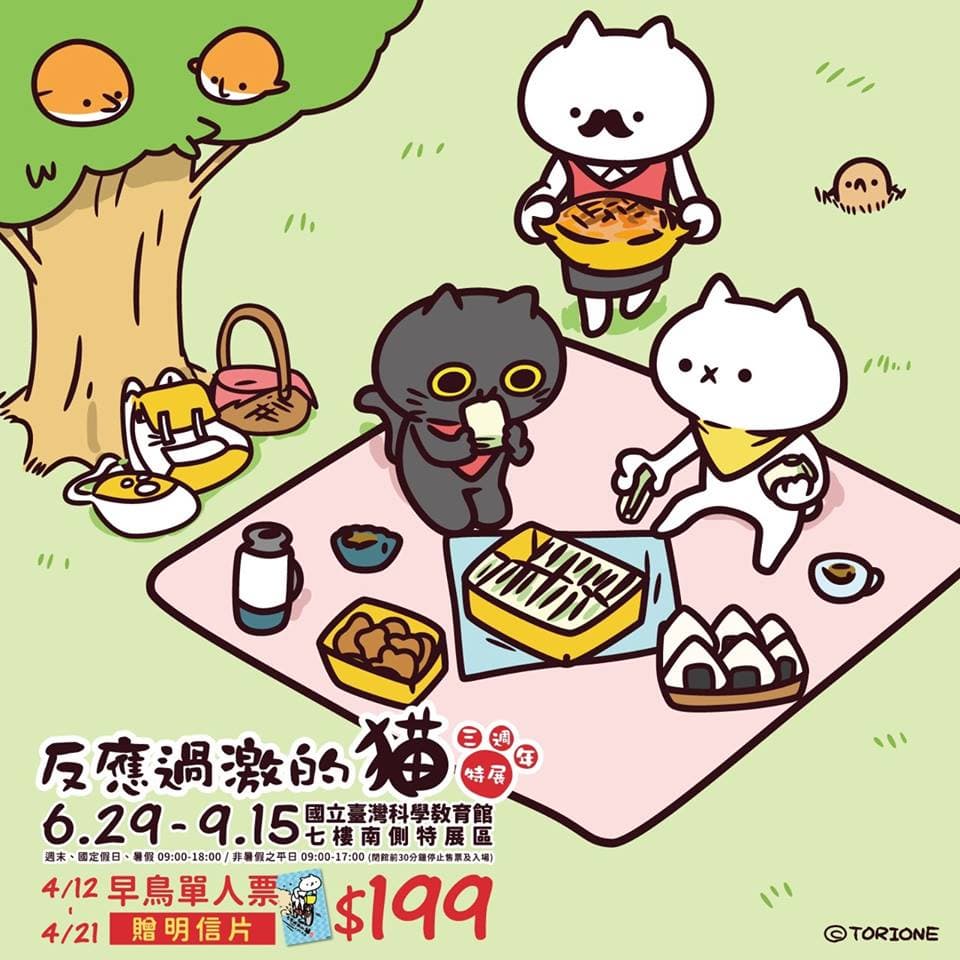 「反應過激的貓」暑假開展!跟喵喵拍照、玩運動會、喝咖啡 「反應過激的貓」暑假開展!跟喵喵拍照、玩運動會、喝咖啡