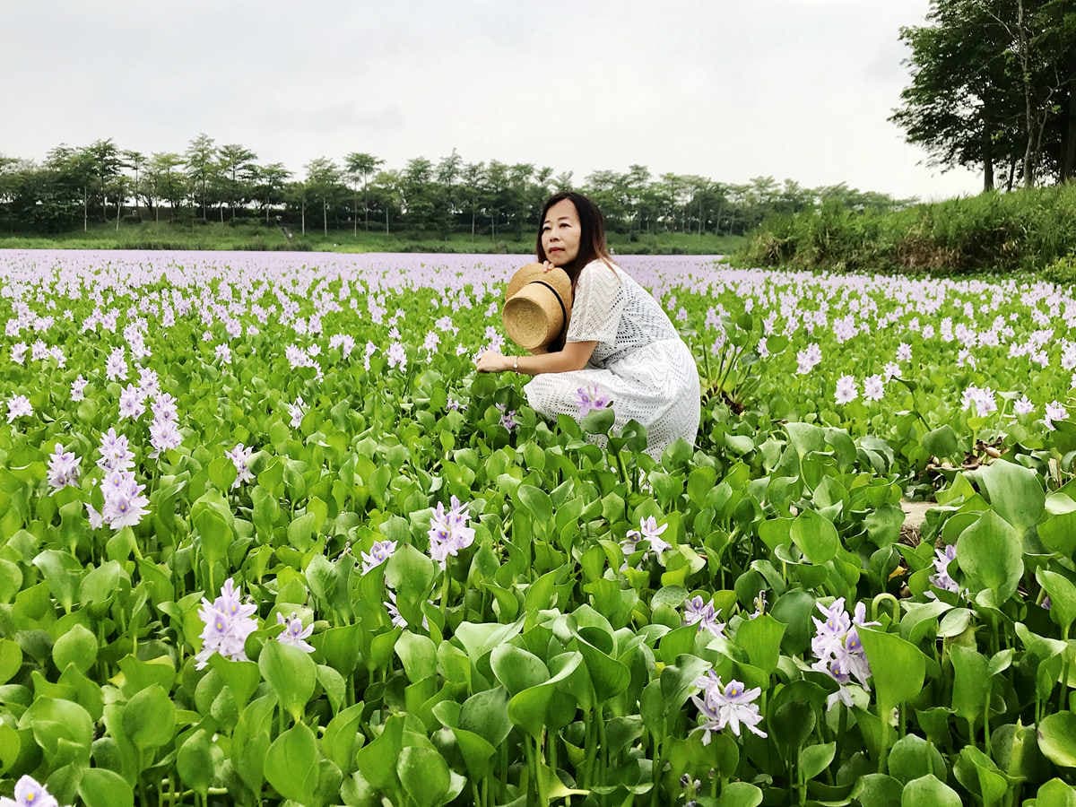 只剩這禮拜！超美紫色花海，台南賞花新祕境在「仁德」