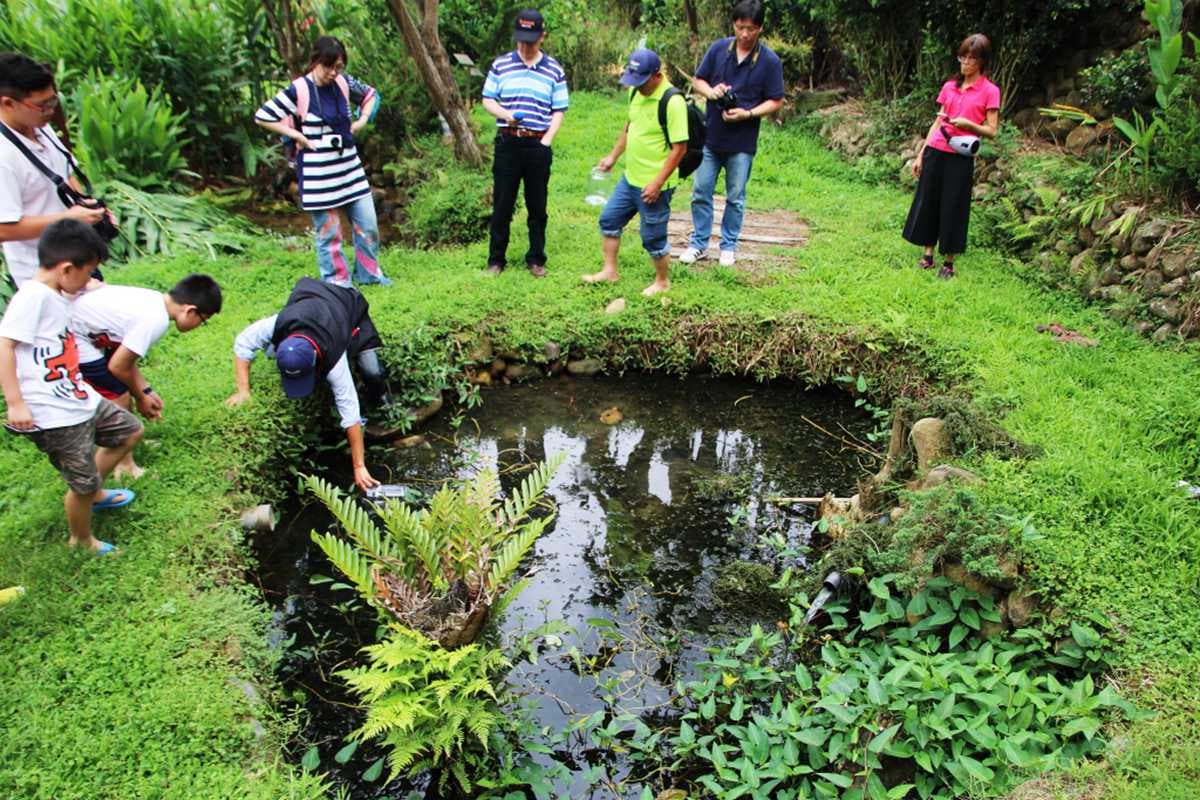 來採「美人腿」！下田玩泥巴、動手做筊白筍泡菜，還有大餐吃 