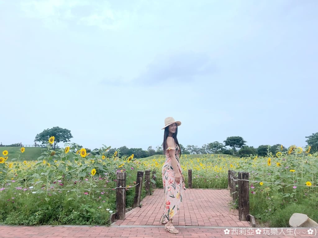 網美集合打卡！初夏「全台10大追花攻略」繡球花、向日葵、百合花海