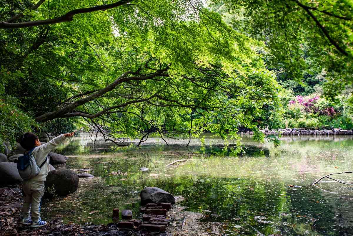 混進東大吃學生餐、最古神社求好運，原來東京還可以這樣玩
