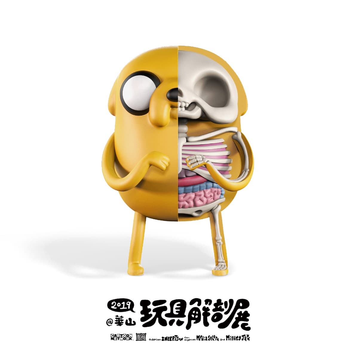 看過航海王被解剖嗎？全球首發「解剖魯夫」，台灣搶先看得到！