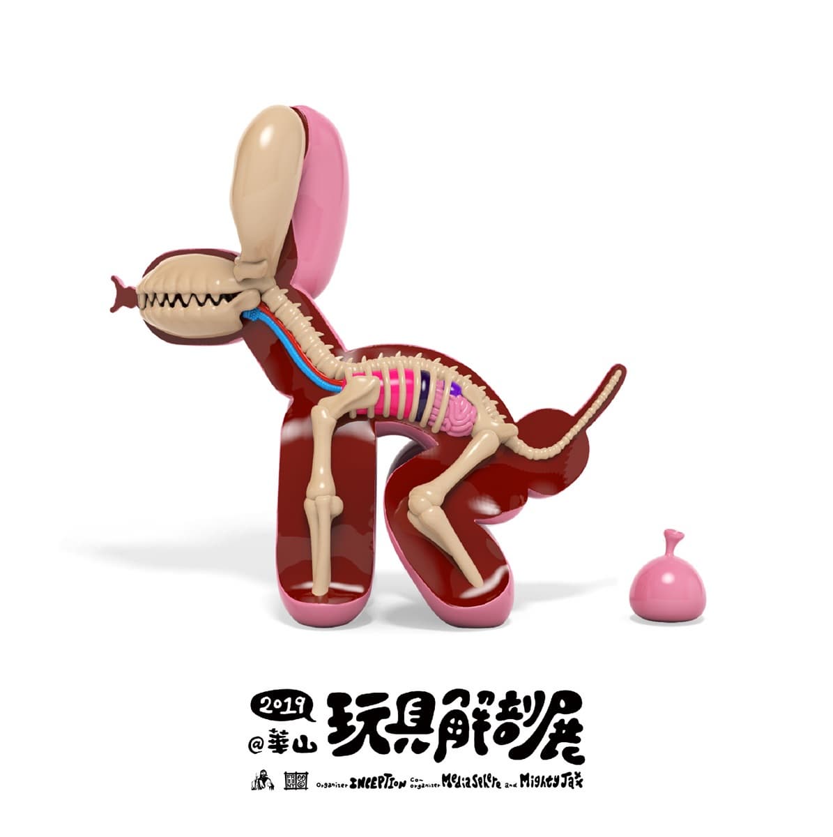看過航海王被解剖嗎？全球首發「解剖魯夫」，台灣搶先看得到！