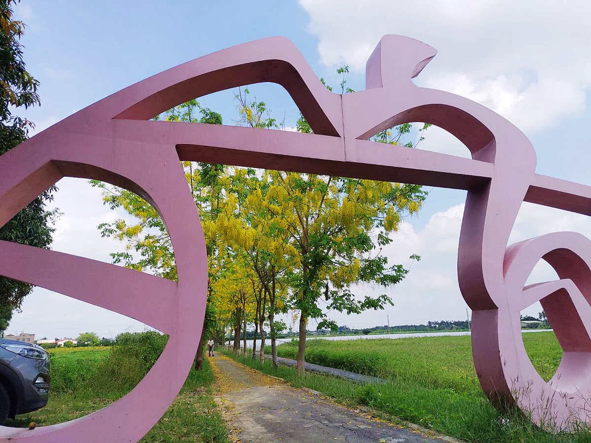 賞花新祕境！「蓮花」「阿勃勒」一次全收，就在台南「蓮鄉自行車道」