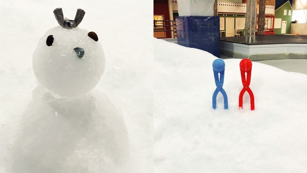 衝台中玩雪囉！全台獨家500坪「冰雪樂園」這一天入園門票省401元