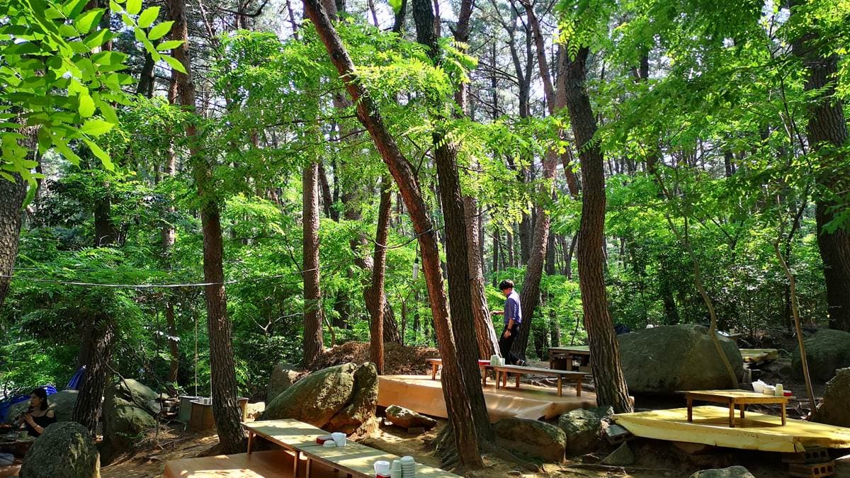 隱藏版「韓大學生祕境」！超高CP景點在釜山，必吃「蔥煎餅」
