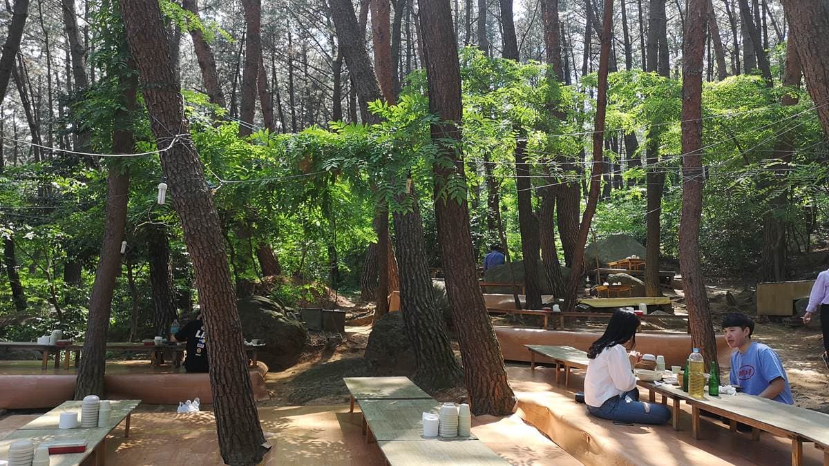隱藏版「韓大學生祕境」！超高CP景點在釜山，必吃「蔥煎餅」