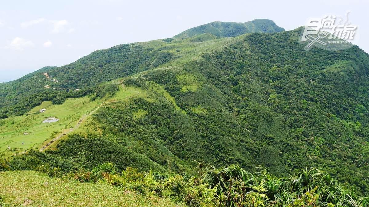 360度海景草原祕境！爆紅步道這山像「拉布拉多」，找神奇「人腦聖地」