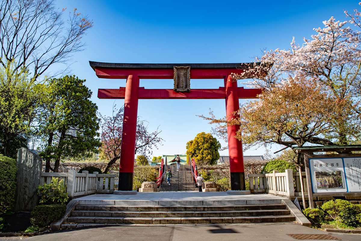 日本東京旅遊龜戶天神社賞櫻