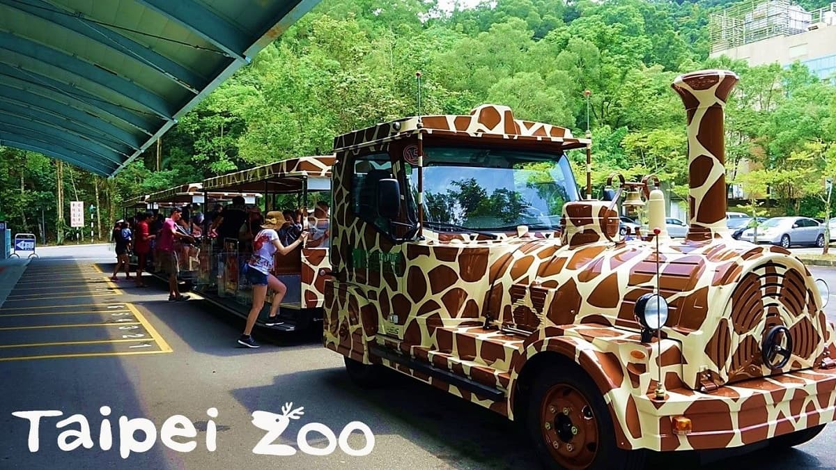 動物提前放暑假！市立動物園「休園10天」爸媽遛小孩別撲空