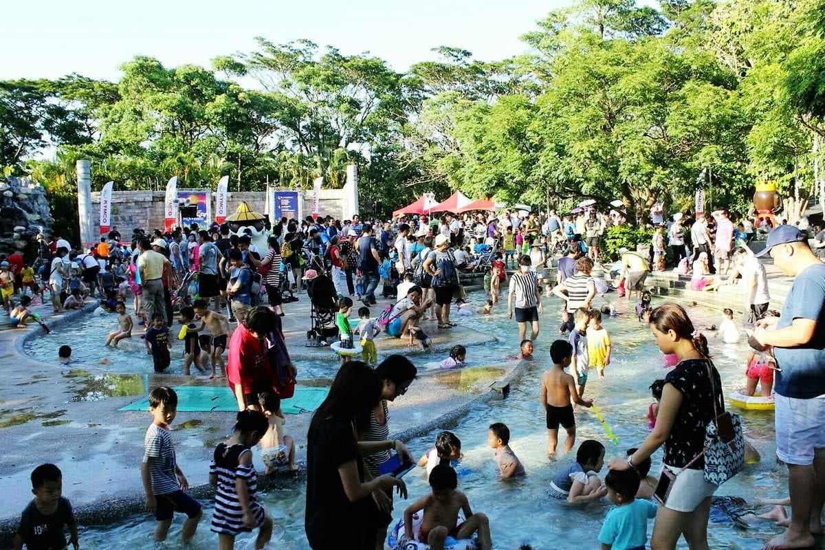 來看樹懶吃飯洗澡！動物園暑假夜間開放囉，下午入園半價