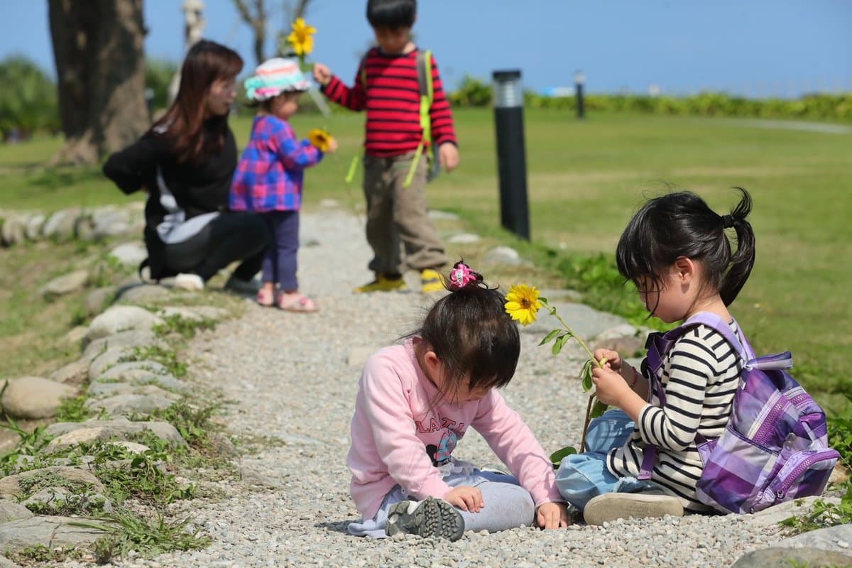 3萬株向日葵免費採！全台最靠近海邊「向日葵花海」一日限定活動