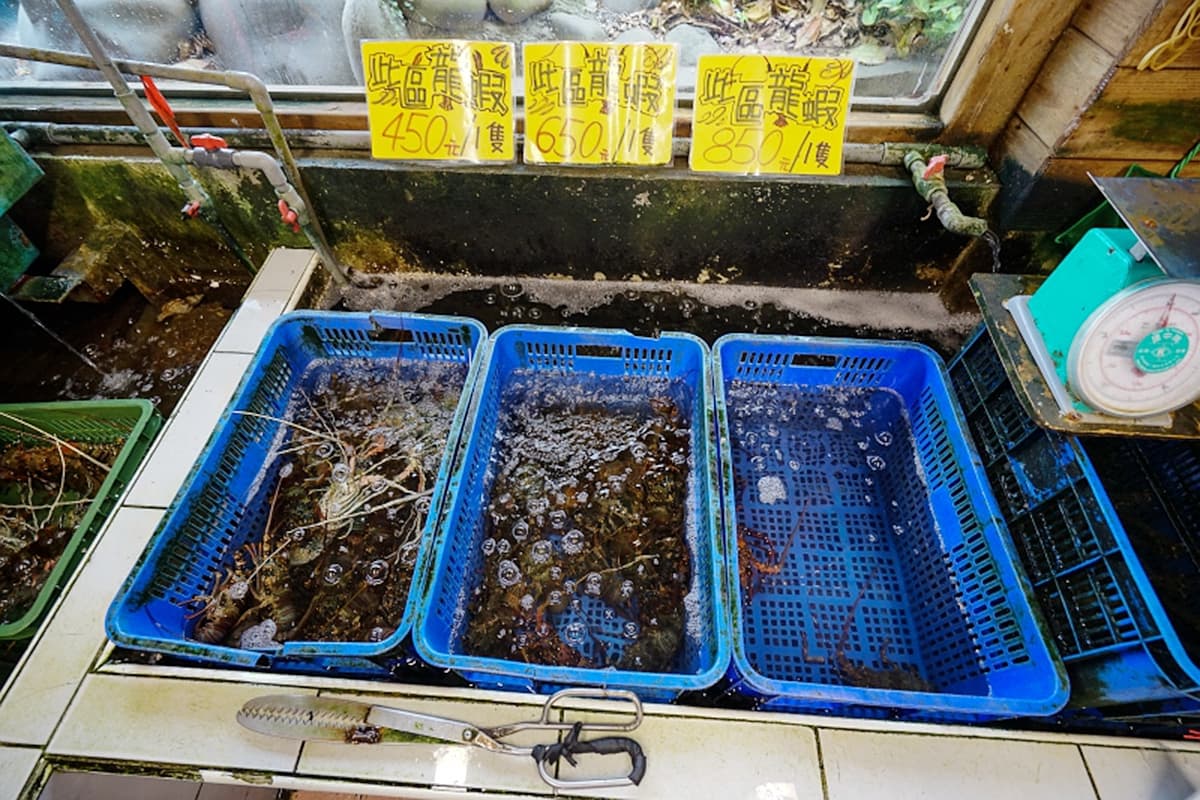 網美瘋打卡！花蓮美拍6亮點：水簾瀑布、台版《魔戒》哈比村、軍事高地祕境
