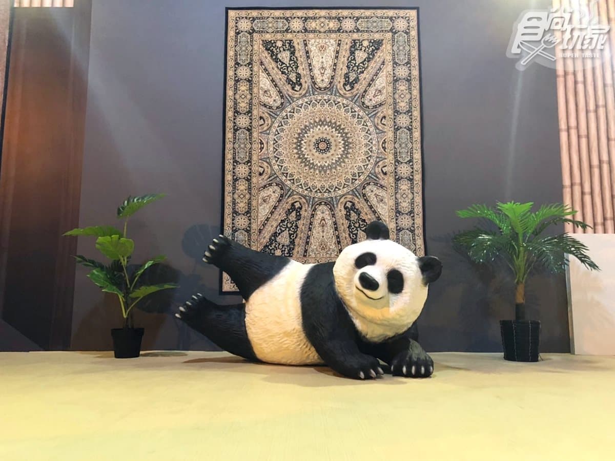 公仔控朝聖!全球首場「朝隈俊男的公仔展」,動物變身「航海王角色」 公仔控朝聖!全球首場「朝隈俊男的公仔展」,動物變身「航海王角色」