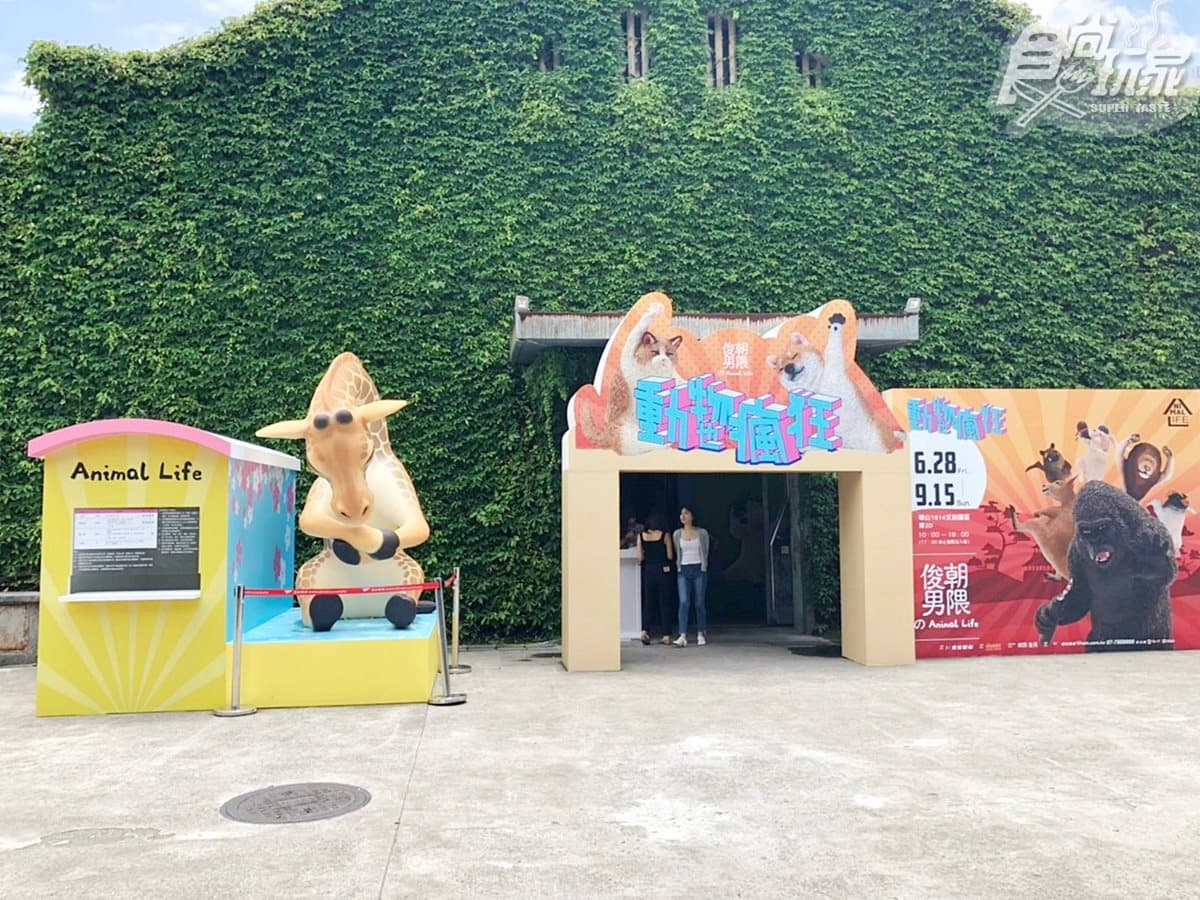 公仔控朝聖!全球首場「朝隈俊男的公仔展」,動物變身「航海王角色」 公仔控朝聖!全球首場「朝隈俊男的公仔展」,動物變身「航海王角色」