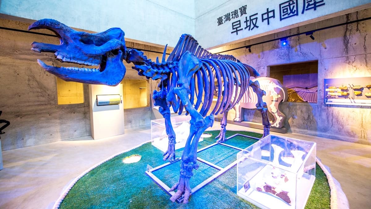 來這挖化石、看梅花鹿飛！台南化石園區「買百送千」遛小孩省很大