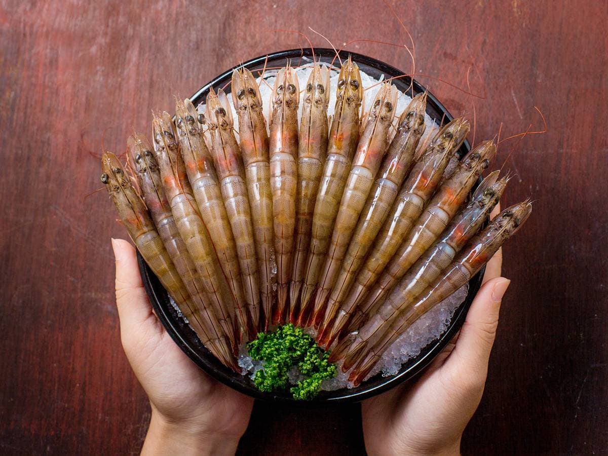 蝦控集合!王品鍋物15隻白蝦只要15元!還有21公分長海大蝦 蝦控集合!王品鍋物15隻白蝦只要15元!還有21公分長海大蝦