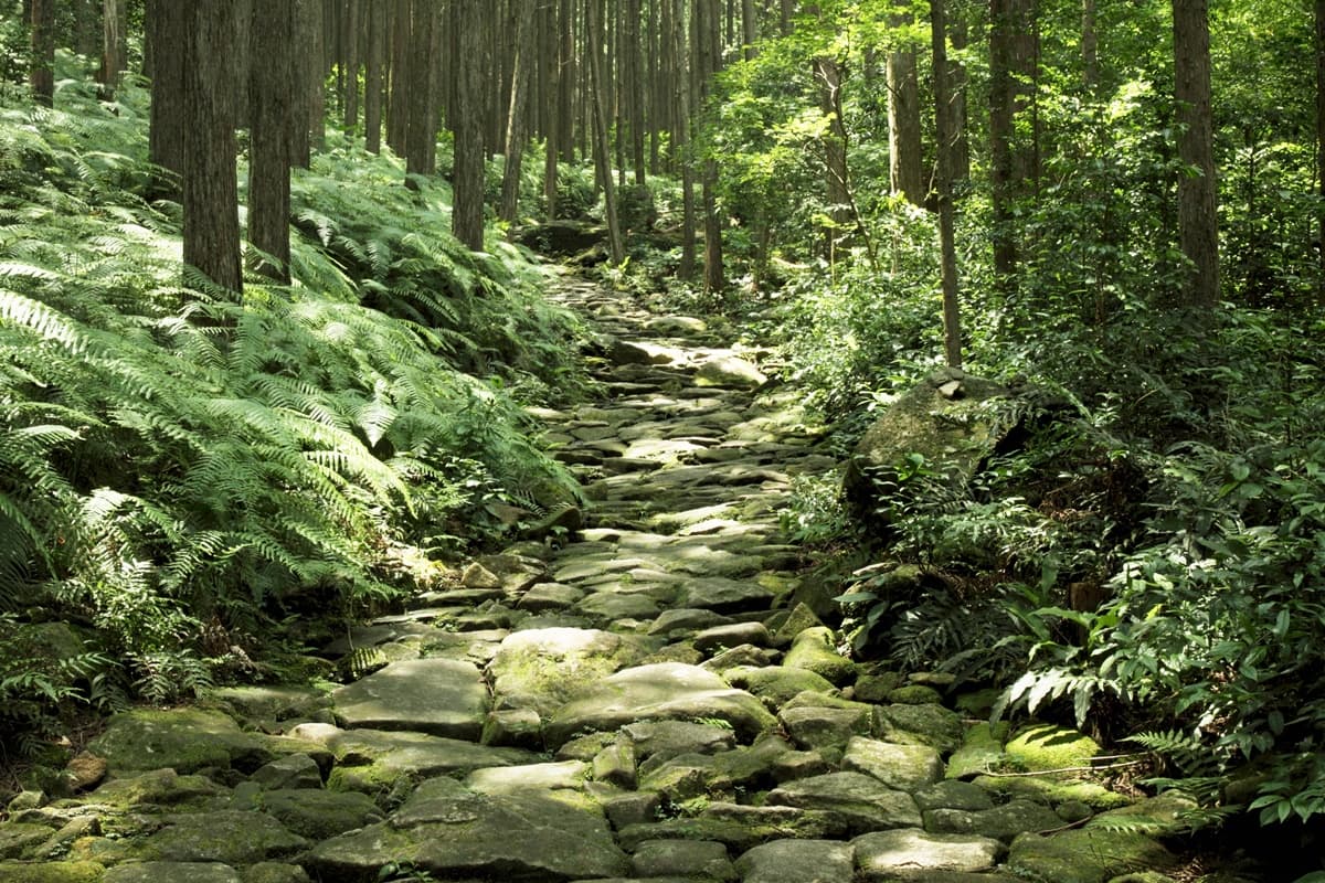 當天來回也值得！3場日本必去夏季煙火，還有海上版超美