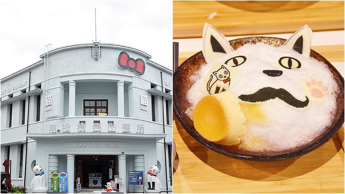 南投好拍新景點，稅務出張所變「貓咪主題」冰店，還有霍格華茲風咖啡館