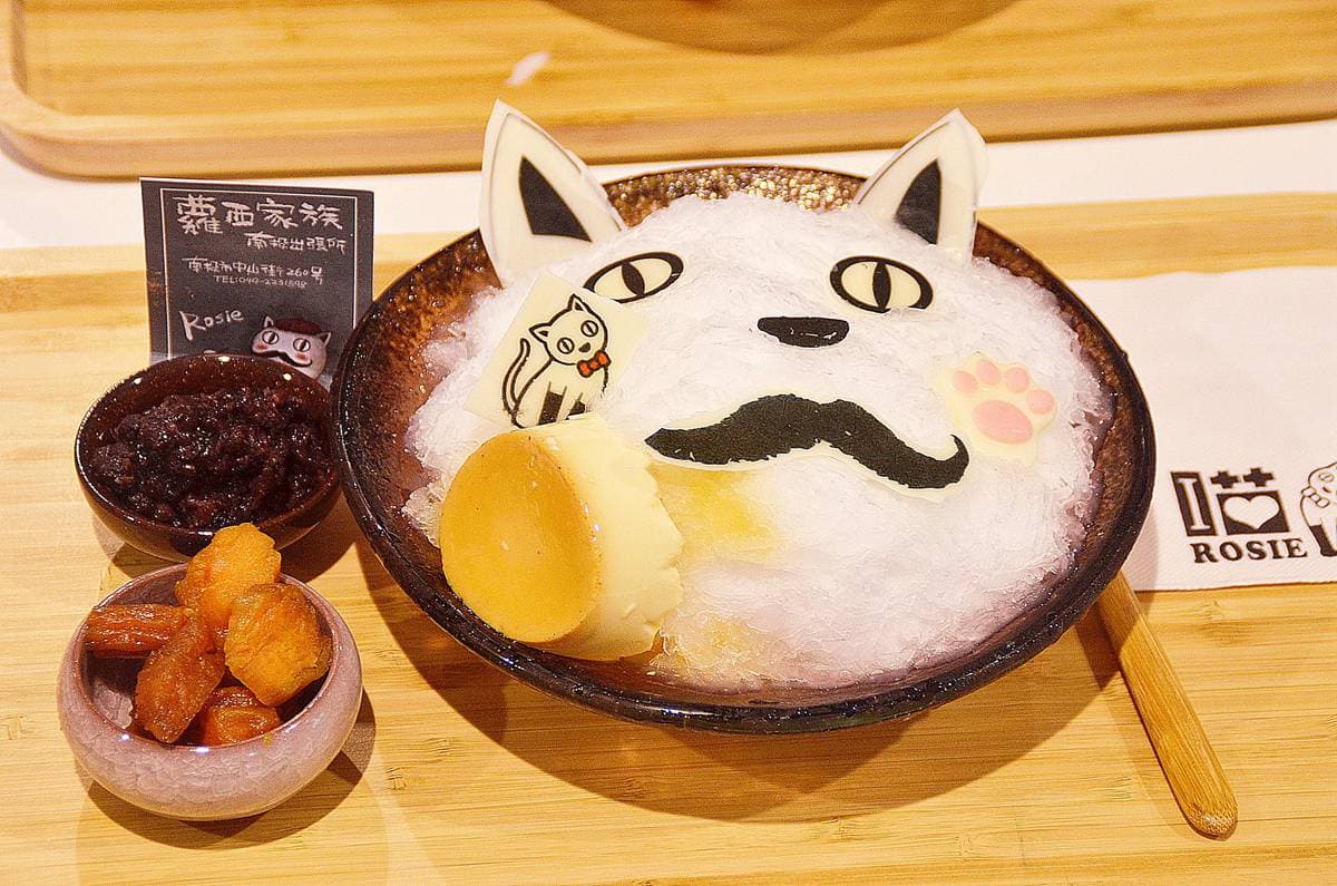 南投好拍新景點，稅務出張所變「貓咪主題」冰店，還有霍格華茲風咖啡館