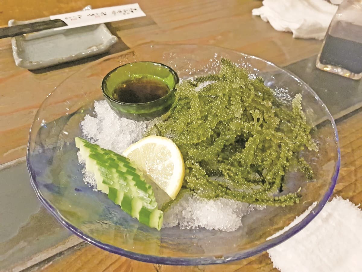 別再吃拉麵了!沖繩最新「4大必吃打卡美食」彩紅貝果、彩虹吐司、海葡萄冰淇淋 別再吃拉麵了!沖繩最新「4大必吃打卡美食」彩紅貝果、彩虹吐司、海葡萄冰淇淋