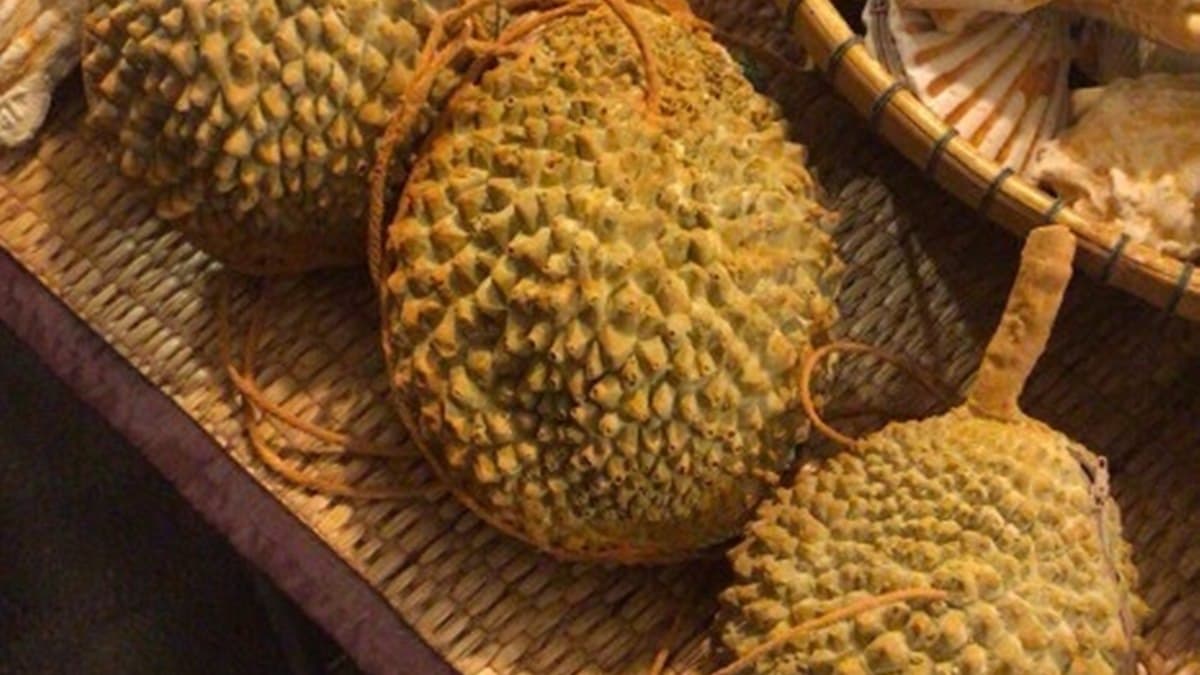 快收超夯「榴槤零錢包」！泰國最新伴手禮，網稱：光看就有味道