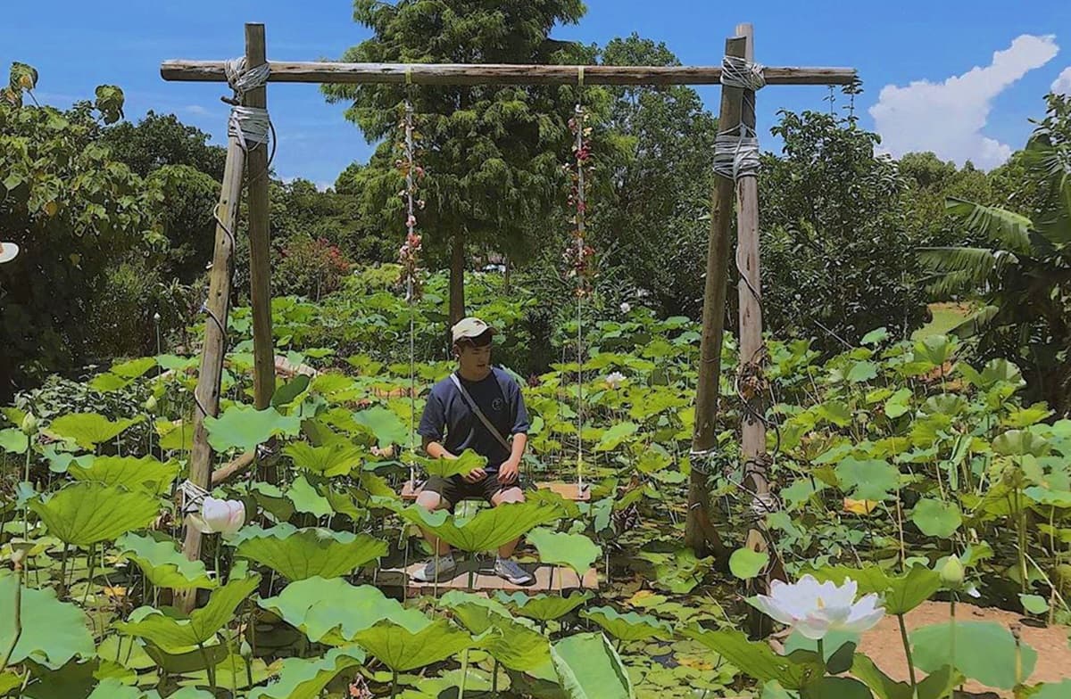 快來這裡當網美！睡在蓮葉上扮拇指姑娘，彩色鉛筆迷宮、蓮花盪鞦韆超美拍