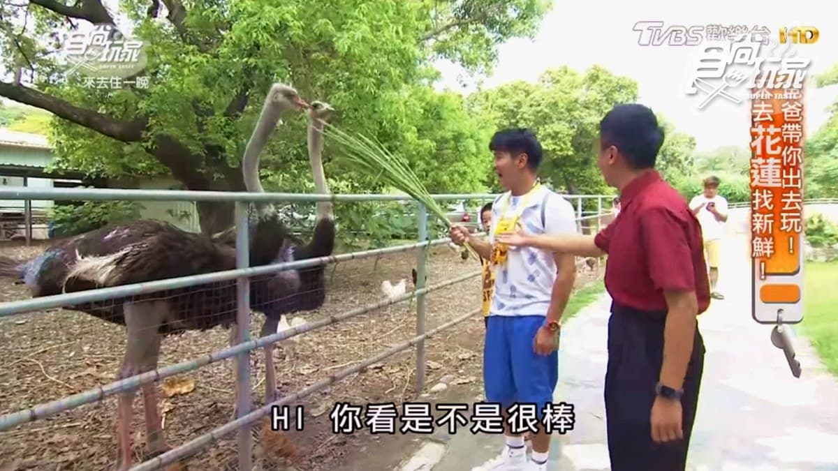 親子遊好處去！牧場免費入園，可以餵鴕鳥還能吃一桌好料