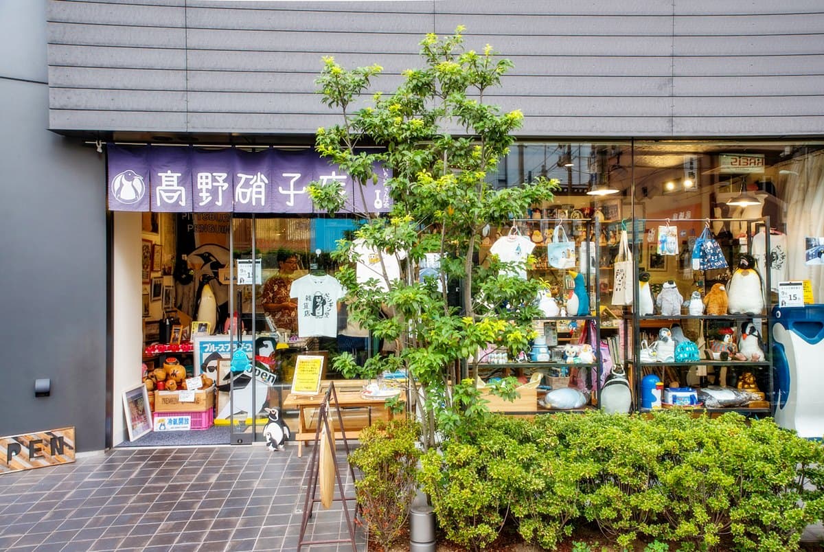 招財「企鵝」耶！企鵝迷最愛瘋狂小店，這隻幫你招桃花