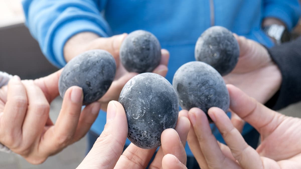 超特別「黑蛋」重新開賣！當地傳說吃一顆「多活7年」，首批6000顆被秒殺