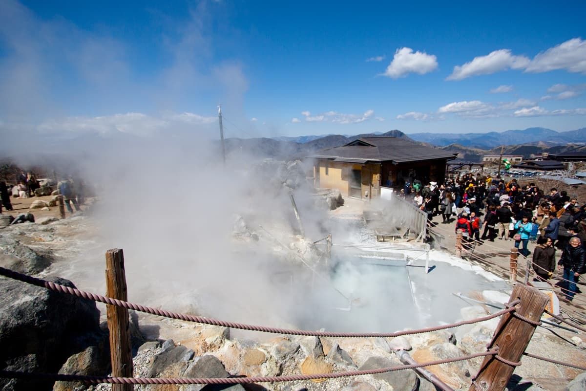 超特別「黑蛋」重新開賣！當地傳說吃一顆「多活7年」，首批6000顆被秒殺