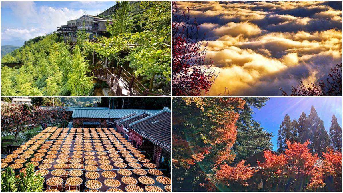 現在去拍最漂亮！秋天限定美景5連發：金黃銀杏、夢幻雲海、發光金針花