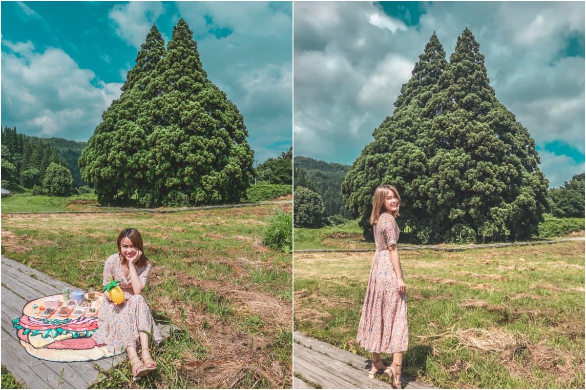 日本最新打卡點都在這！龍貓樹、空氣神社、冰藍水母牆，順遊《神隱》湯屋