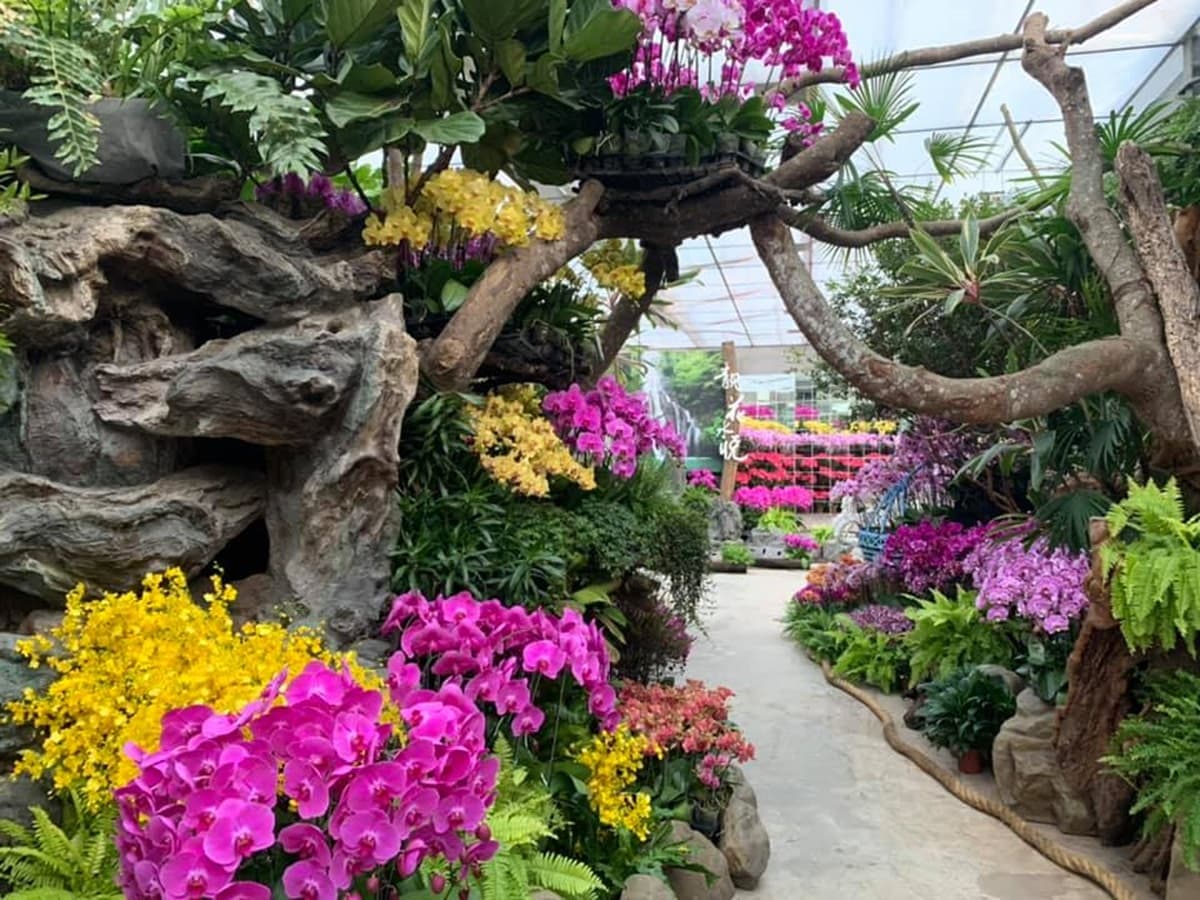 台版小希臘！苗栗新室內景點「鏡中花+網美花牆」10月底前免費參觀