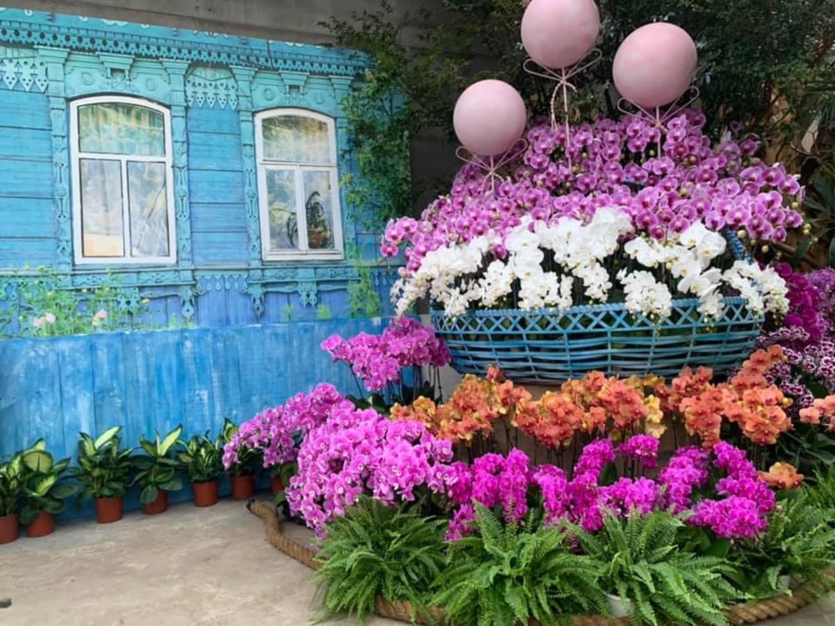 台版小希臘！苗栗新室內景點「鏡中花+網美花牆」10月底前免費參觀